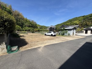IMG_3590